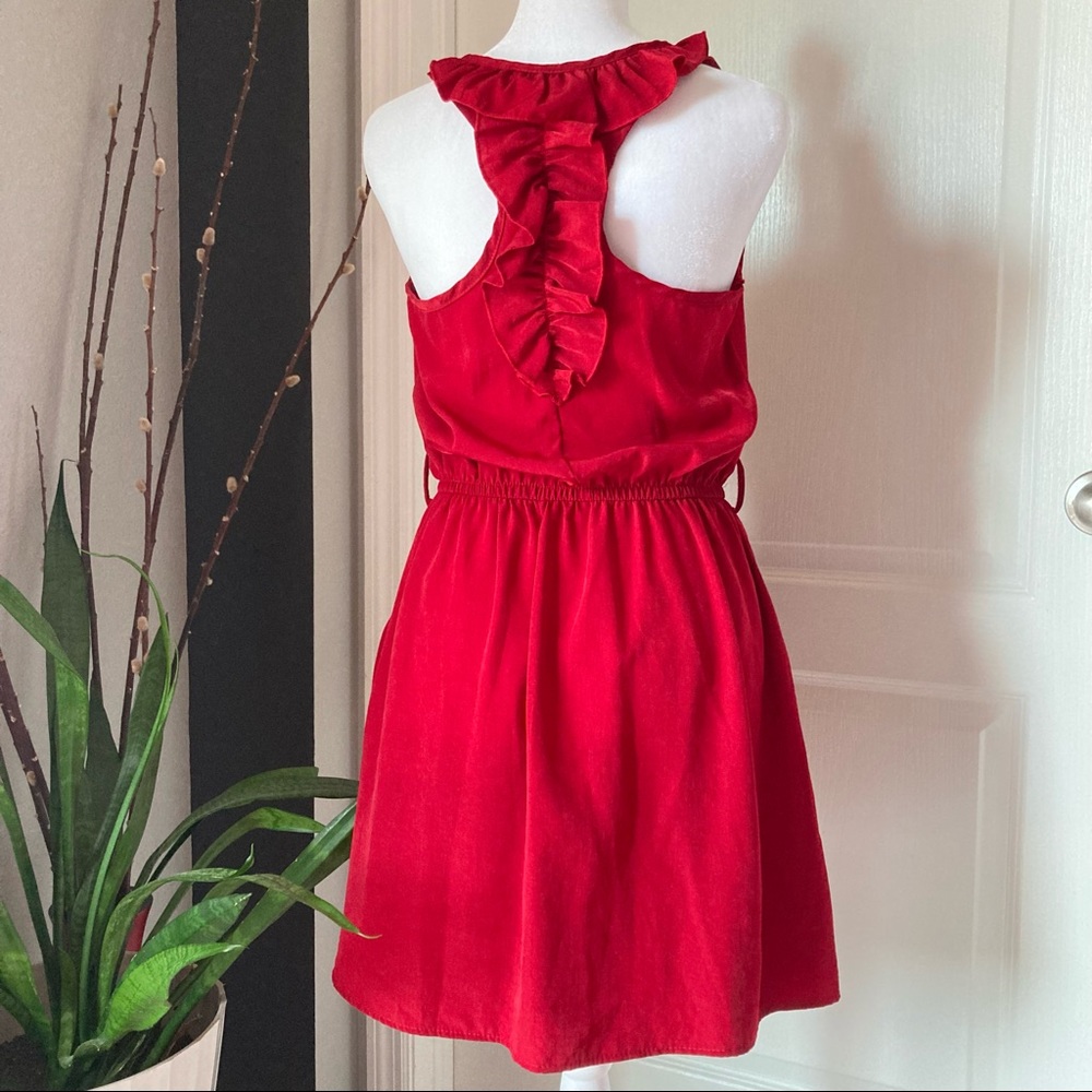 Little Red Dress - Picture 3 of 8